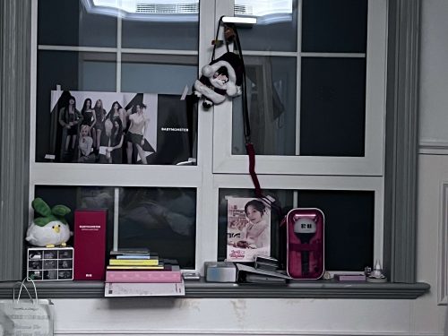 For BABYMONSTER Light stick Pouch Ver.1 K-Pop Fanlight Stick Case photo review